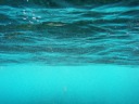 800px-Underwater_world